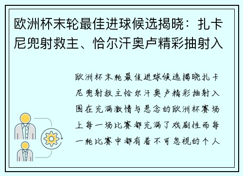 欧洲杯末轮最佳进球候选揭晓：扎卡尼兜射救主、恰尔汗奥卢精彩抽射入围