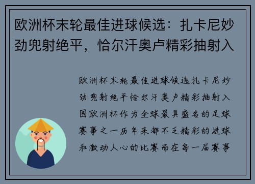 欧洲杯末轮最佳进球候选：扎卡尼妙劲兜射绝平，恰尔汗奥卢精彩抽射入围